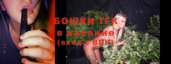 сатива Козельск