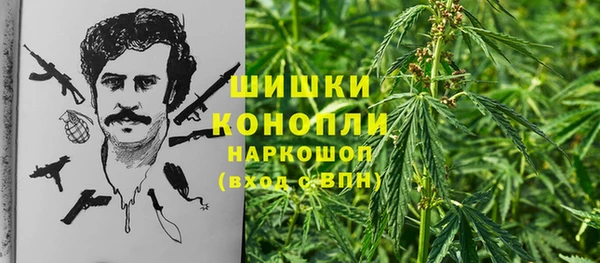 сатива Козельск
