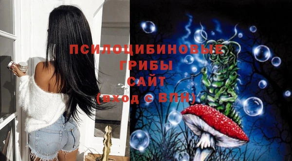 сатива Козельск