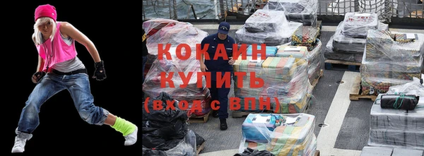 сатива Козельск